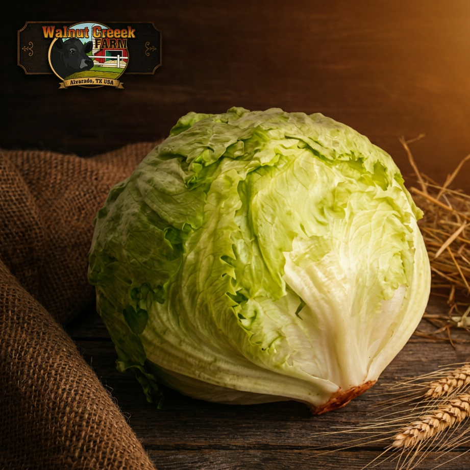 Ice Berg Lettuce Head