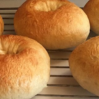 6 Plain Bagels
