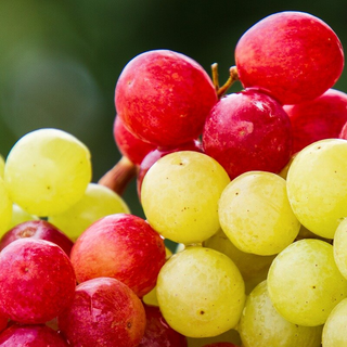 Seedless Grapes Image