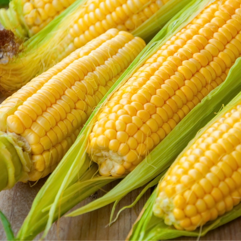 Corn Main Image