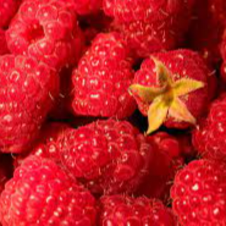 Raspberries Image