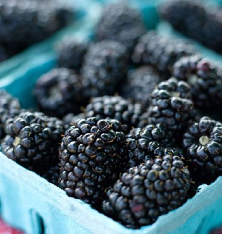 Blackberries Main Image