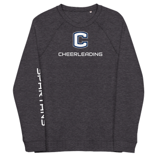 Cheerleading sweater