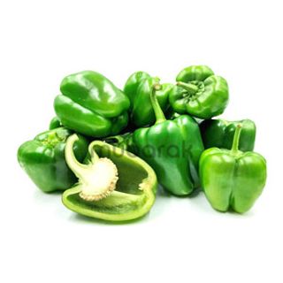 Capsicum 