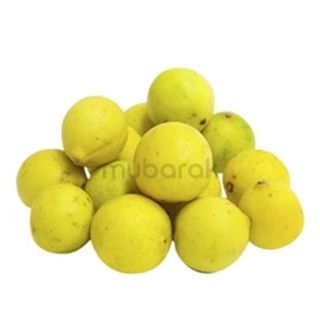 Lemon India 