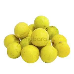 Lemon India  Main Image