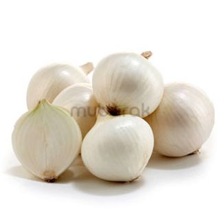 White Onion 