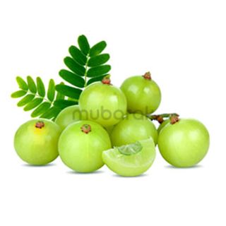 Gooseberry / Amla 