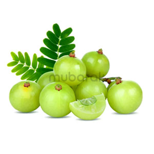 Gooseberry / Amla  Main Image