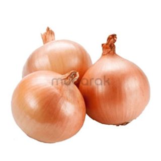 Brown Onions Spain