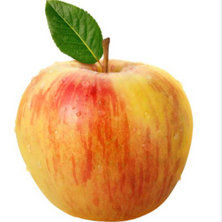 Honeycrisp