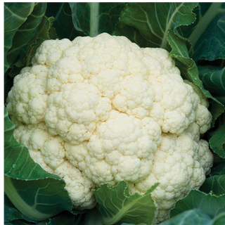 Cauliflower (400G) ðŸŒ¿
