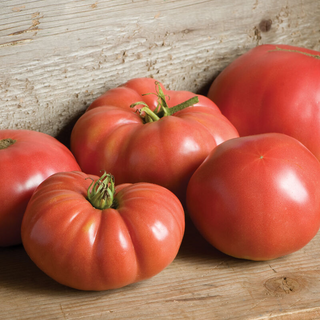 Beefsteak Tomato (500G) ðŸŒ¿