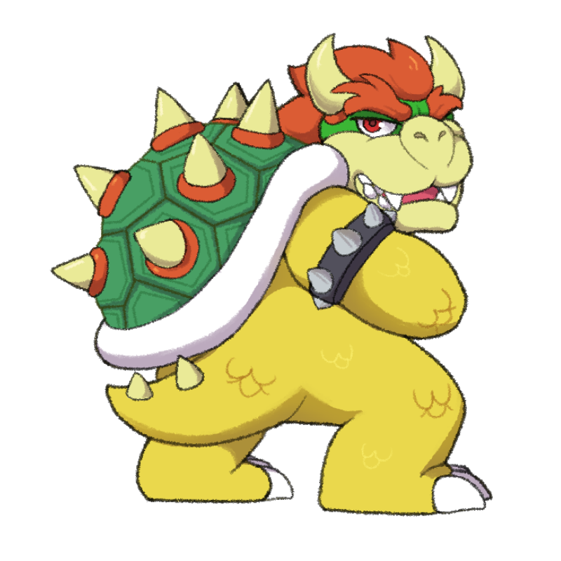 Bowser Main Image