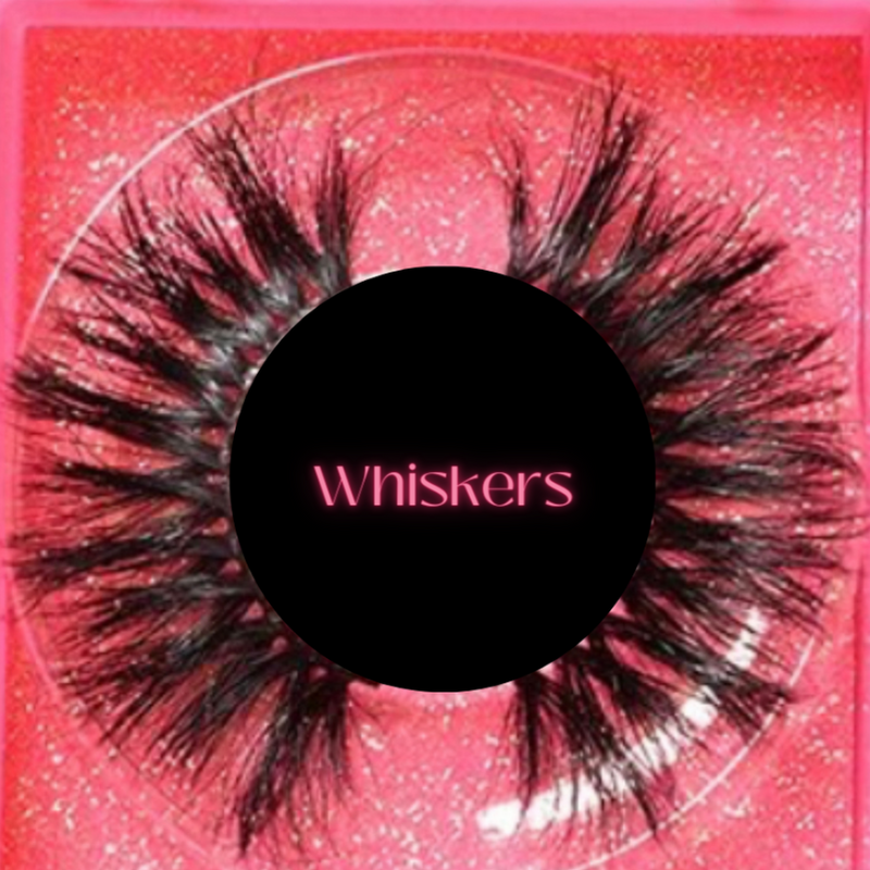 Whiskers Main Image