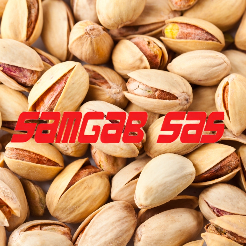 Pistache grillées salées