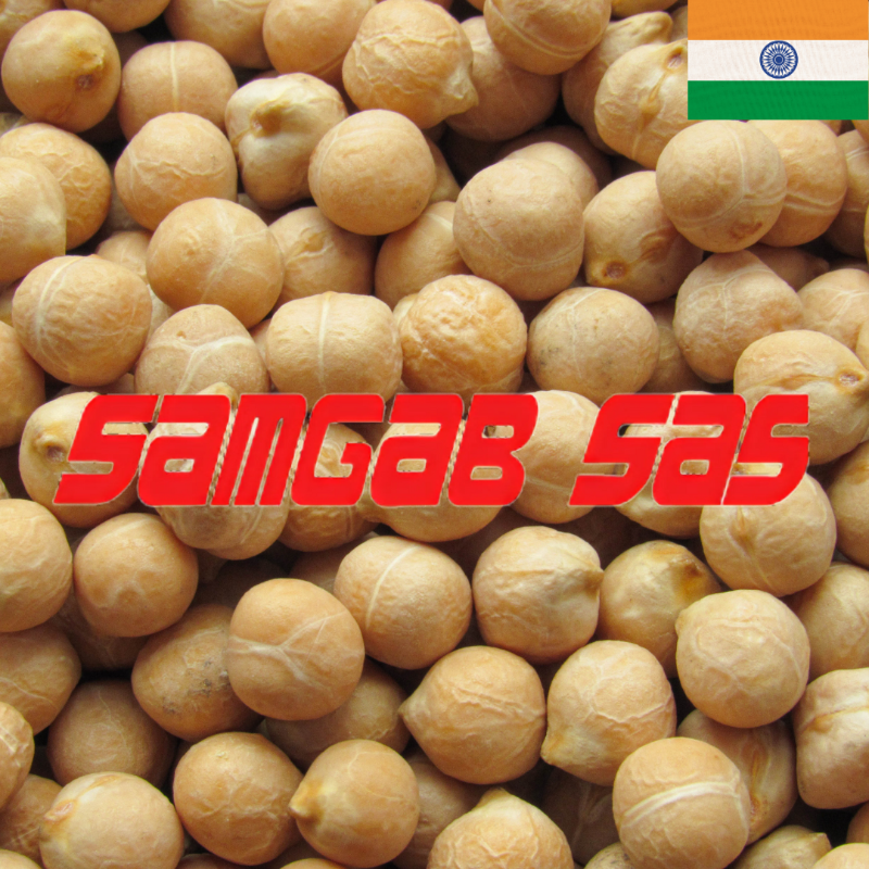 Pois chiche très gros 