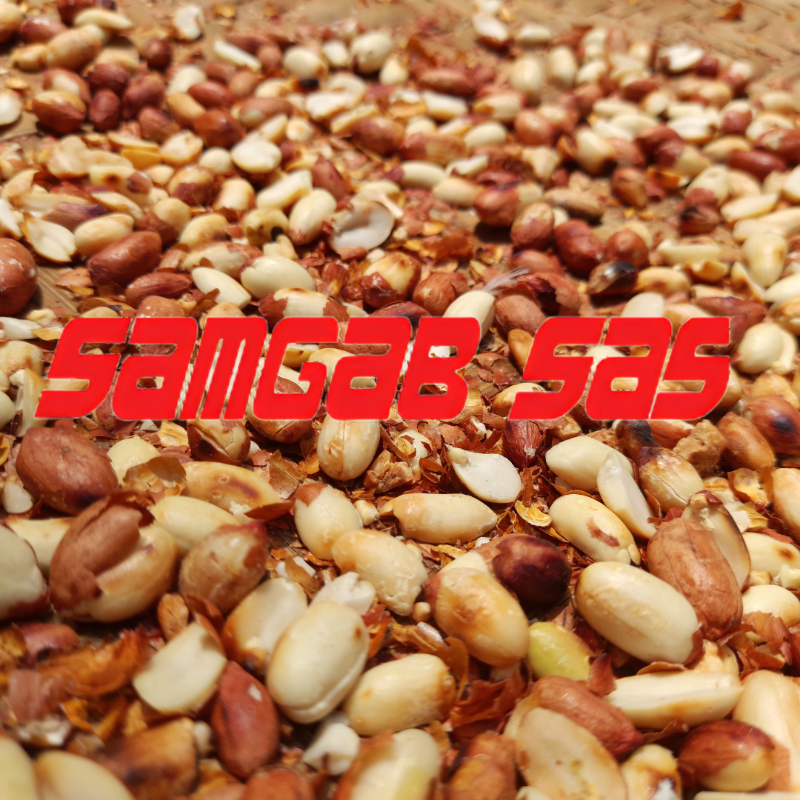 Arachide coques grillées 500 g