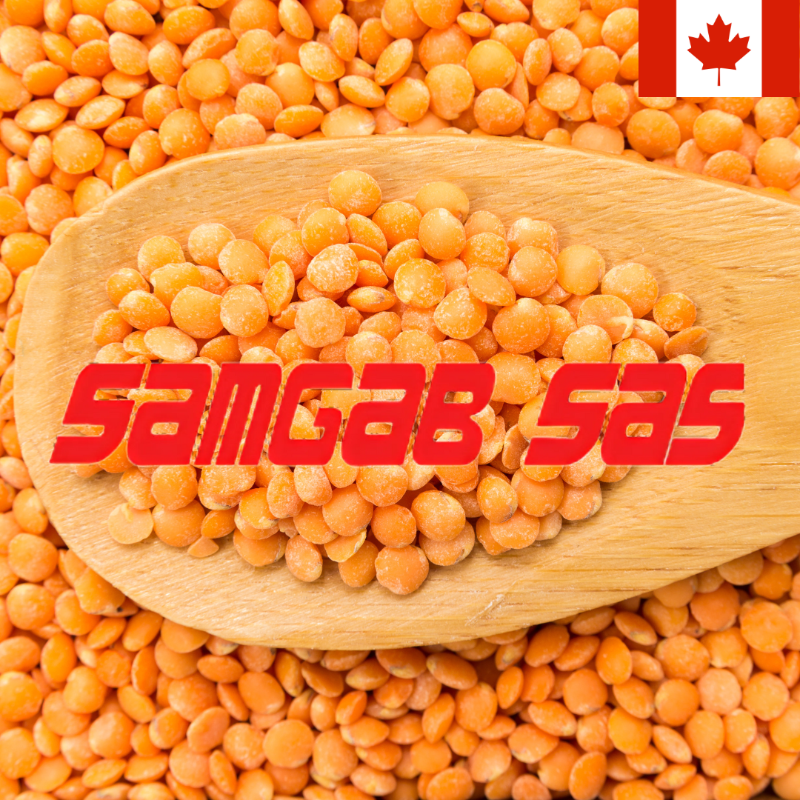 Lentilles blondes 1Kg