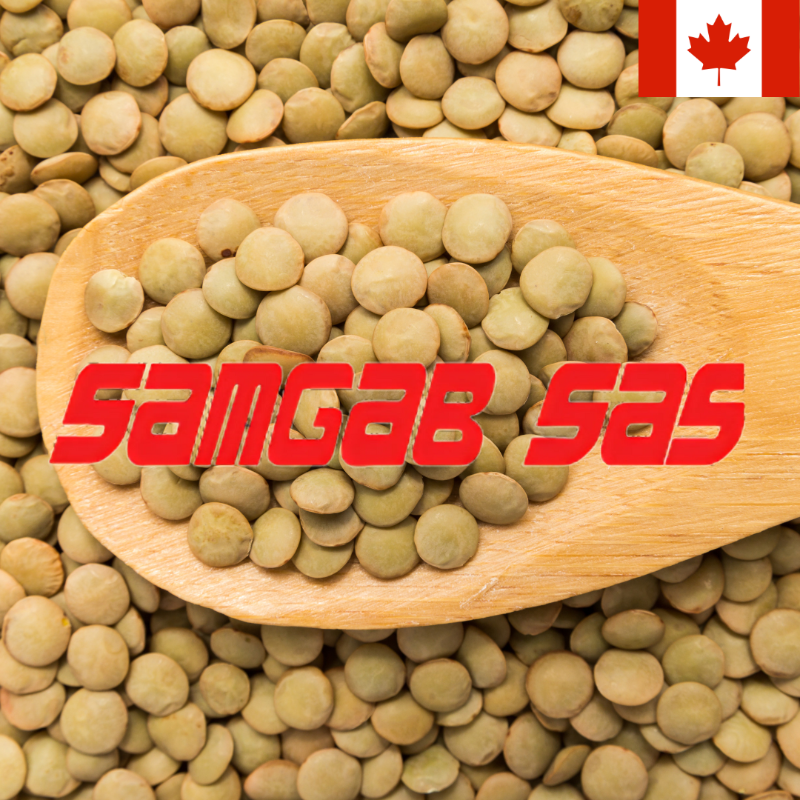 Lentilles vertes 1 Kg