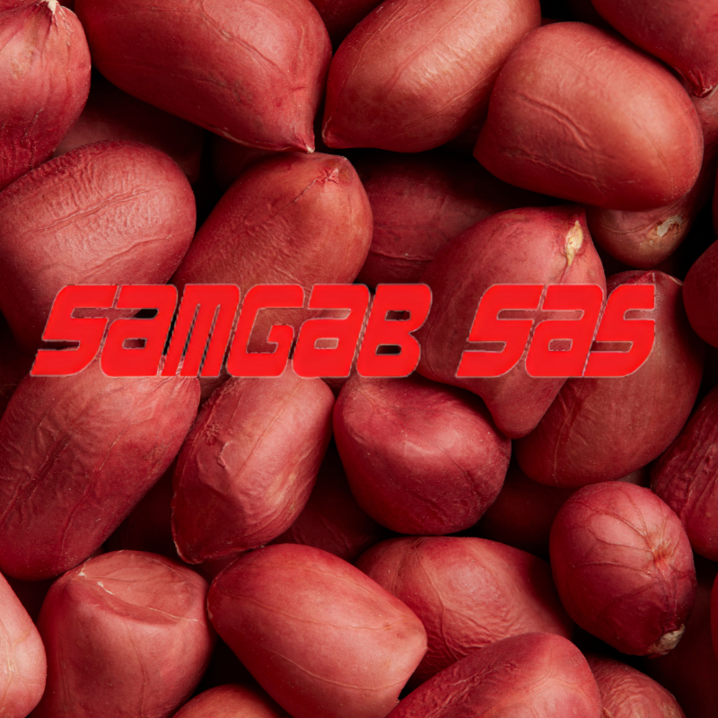 Arachide rouge crue jumbo 1 Kg