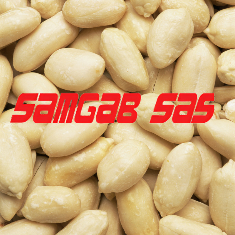 Arachide blanchie 1 Kg