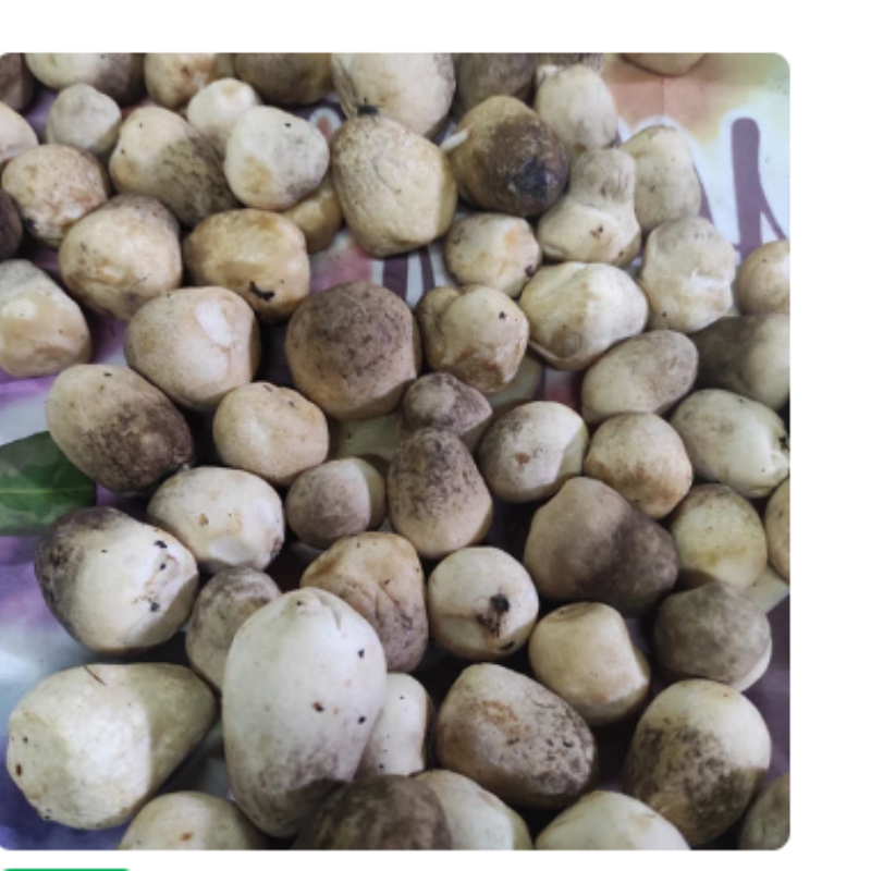 Jamur Merang Segar 100 gram Main Image