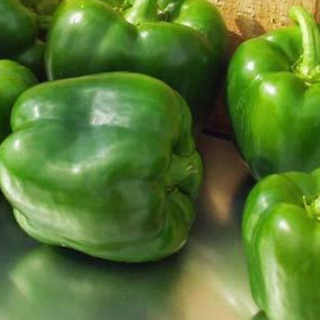 Bell Peppers - Green