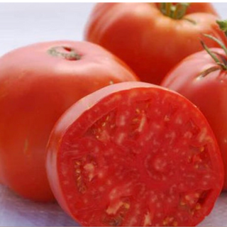 Tomato - Regular
