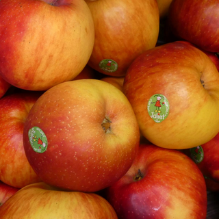 Pomme Juliet (Sud Ouest)