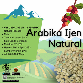 Green Bean Kopi Arabika Ijen Natural