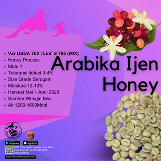 Green Bean Kopi Arabika Ijen Honey