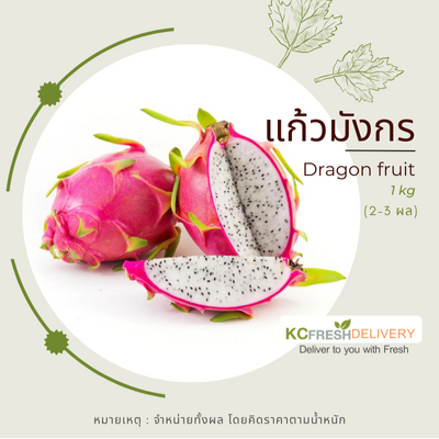 แก้วมังกรขาว White Dragon fruit