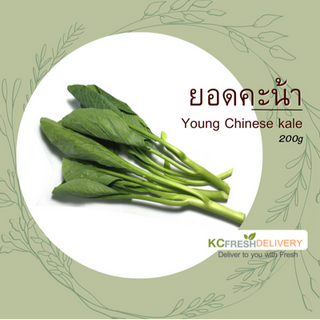 ยอดคะน้า Young Chinese Kale 200g
