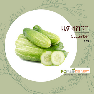 แตงกวา Cucumber 1kg
