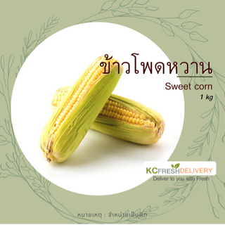 ข้าวโพดหวาน Sweet corn 1kg