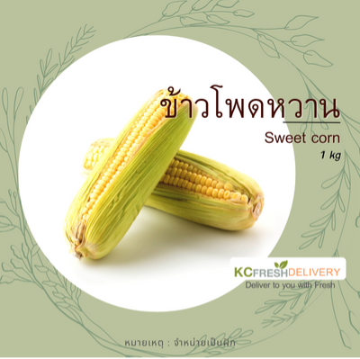 ข้าวโพดหวาน Sweet corn 1kg