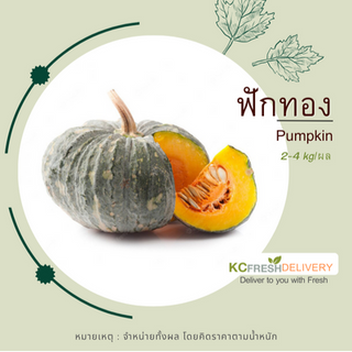 ฟักทอง Pumpkin