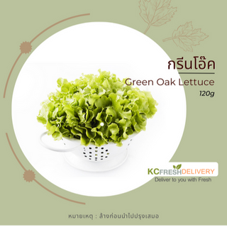 กรีนโอ๊ค Green Oak Lettuce 120g