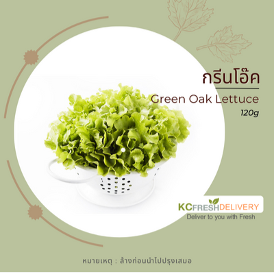 กรีนโอ๊ค Green Oak Lettuce 120g