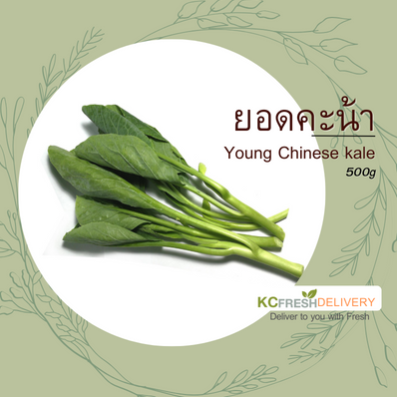 ยอดคะน้า Young Chinese Kale 500g