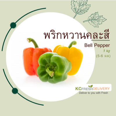 พริกหวาน Bell Pepper