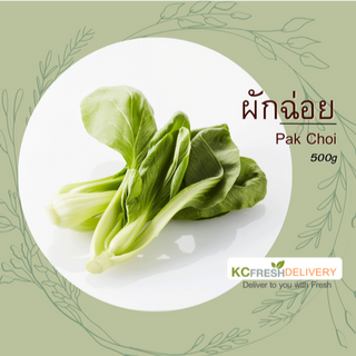 ผักฉ่อย Pak Choi 500g