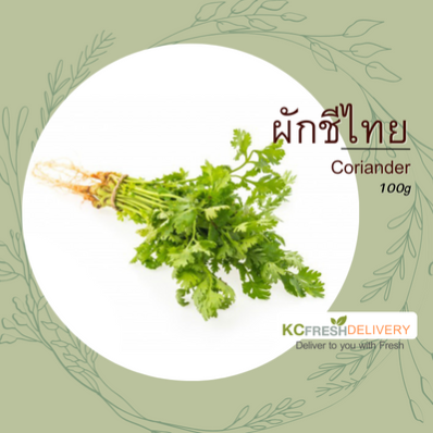 ผักชีไทย Coriander 50g