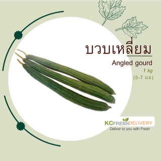 บวบเหลี่ยม Angled Gourd
