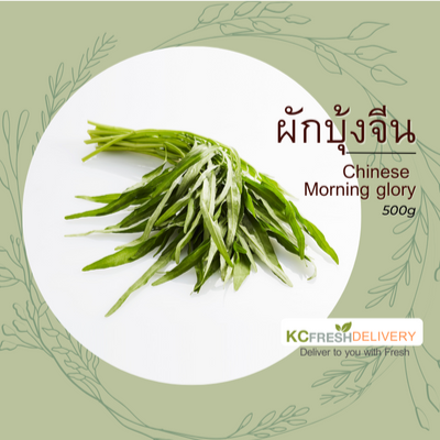 ผักบุ้งจีน Chinese Morning Glory 500g