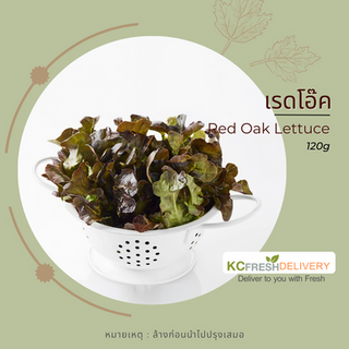 เรดโอ๊ค Red Oak Lettuce 120g