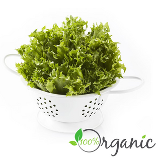ฟิลเลย์ ไอซ์เบิร์ก Frillice Iceberg Lettuce 120g