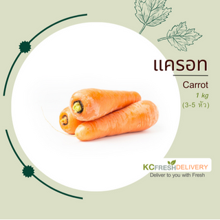 แครอท Carrot