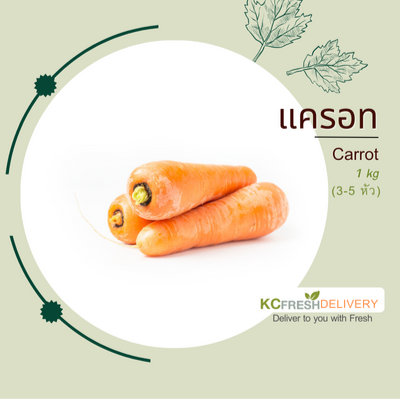 แครอท Carrot
